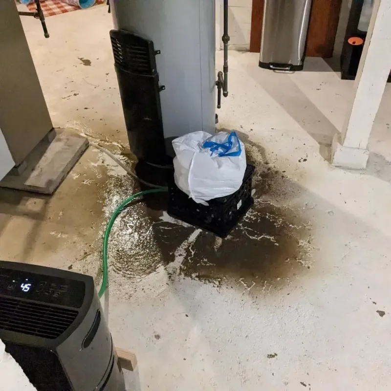 Sewage Backup Cleanup Service in Hometown, PA